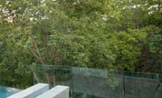 quorum homes
